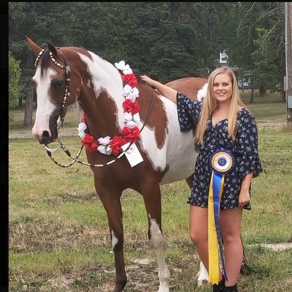 Meet your Posher, Jaimie - Picture 1 of 1